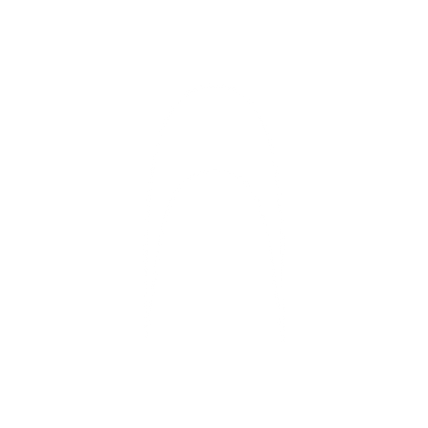 Anki
